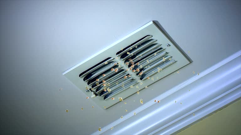 Best Air Duct Cleaning Near Me  in Mcnary, AZ