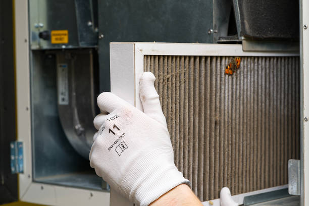 Best HVAC System Cleaning  in Mcnary, AZ