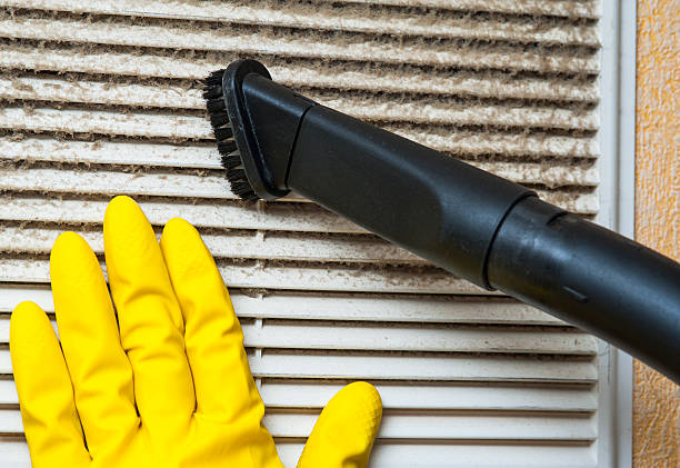 Best Dryer Vent Cleaning Services  in Mcnary, AZ